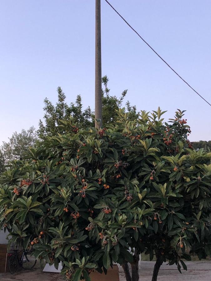 Appartamenti Jessica Peschici Dış mekan fotoğraf